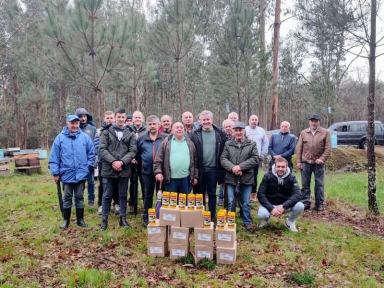 Comeza o reparto de trampas para velutinas da Cañiza