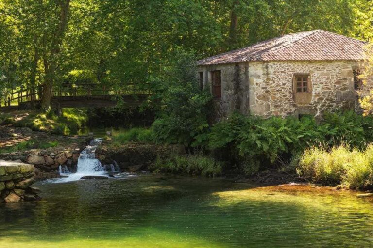 O Rosal estrea grupo de voluntariado de limpeza da natureza