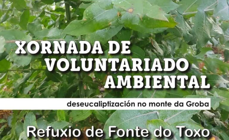 «A Jalleira» organiza unha xornada de voluntariado ambiental no monte veciñal de Viladesuso, Oia