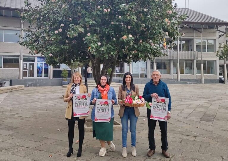 A Camelia será a protagonista durante a fin de semana en Salceda