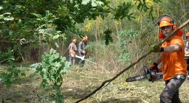 Nigrán establece un perímetro de seguridade contra lume nos montes de Camos e Chandebrito