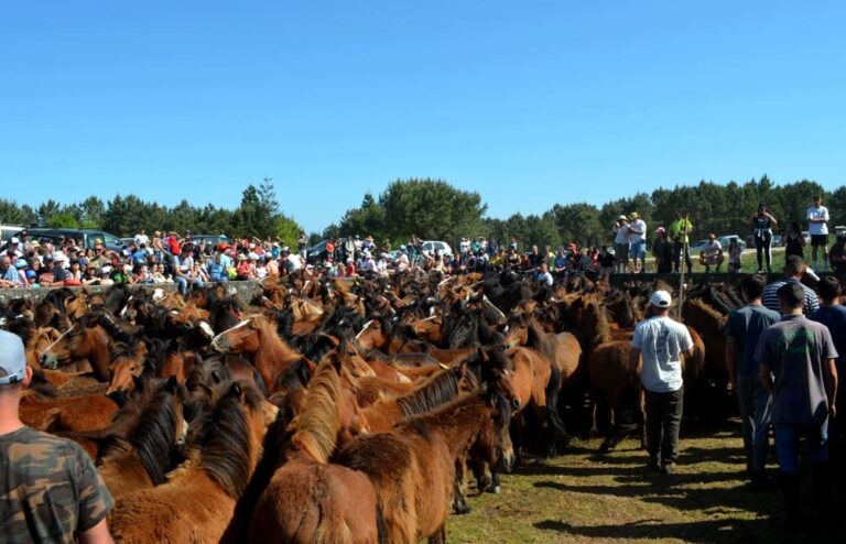 Visitas guiadas á exposición da Casa Forestal e aos curros de A Valga e Mougás en agosto