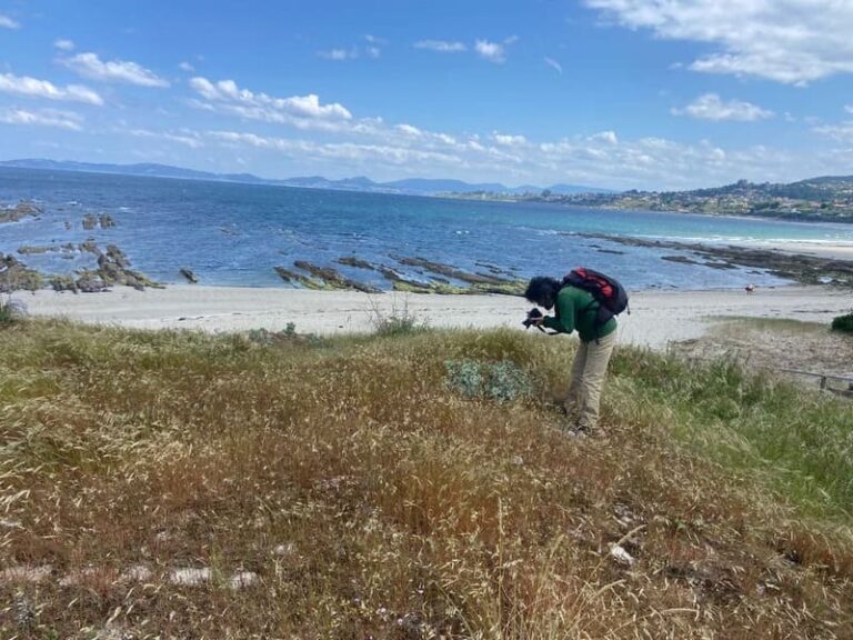 Nigrán contrata a protección das dunas de Patos