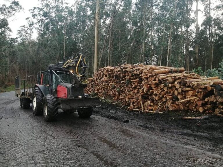 A Cañiza regula a actividade forestal no municipio
