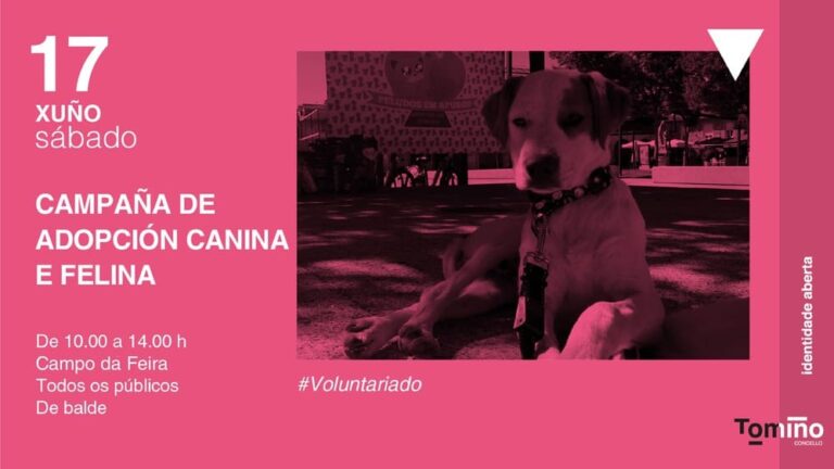 Tomiño pon en marcha unha nova xornada de adopción de cans e gatos