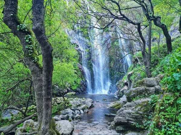 Os “Bosques Terapéuticos” comezan xullo cunha ruta pola fervenza do Toxa e a illa de Tambo