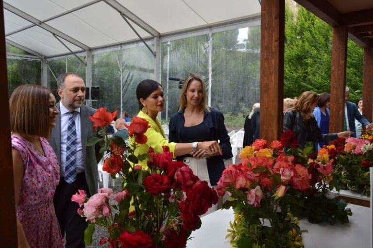 A Festa da Rosa premia como mellores rosas de Mos ás de Purificación Lago, de Dornelas