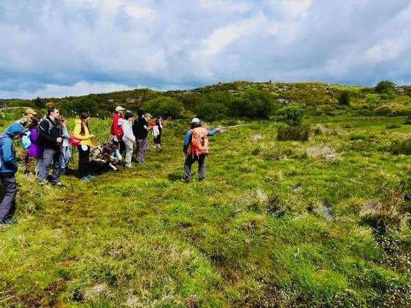 Alumnado de Moaña amosa o seu interese pola riqueza medioambiental de Covelo