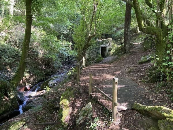 Os “Bosques terapéuticos” levan esta fin de semana aos seus participantes ao río Eifonso e á fervenza do Toxa