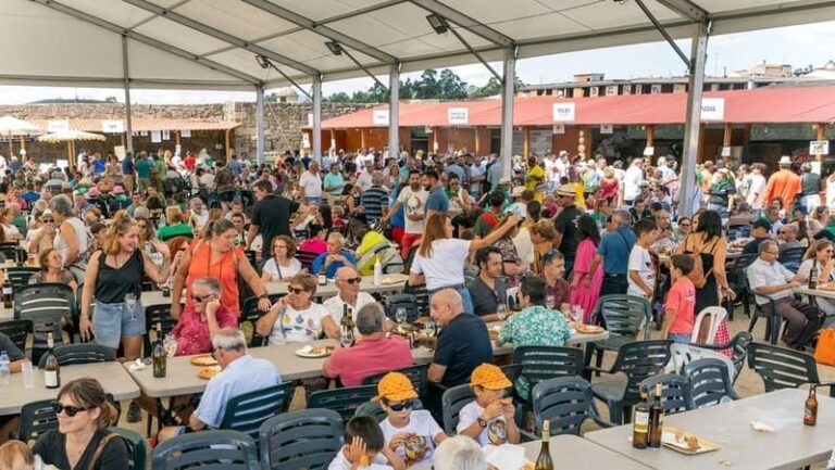 Éxito da sexaxésimo cuarta edición da Festa do Viño do Condado do Tea