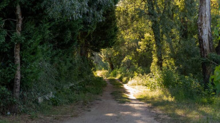 O Concello de Tui solicita un novo obradoiro para acondicionar a Senda río Miño