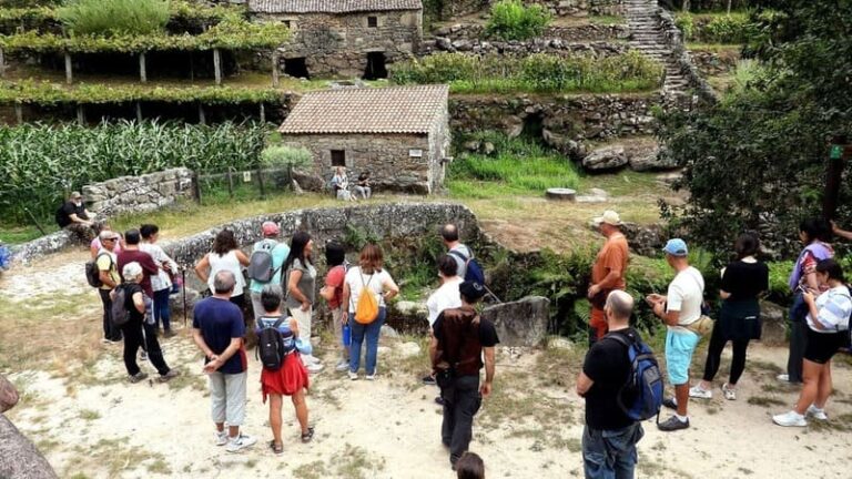 Gran acollida ás visitas guiadas organizadas este mes de Tui