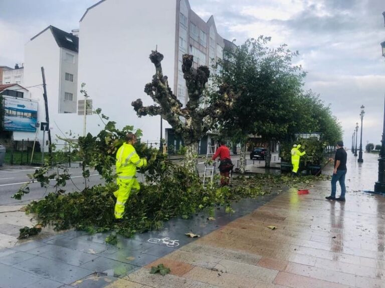 Baiona inicia a poda das árbores do municipio
