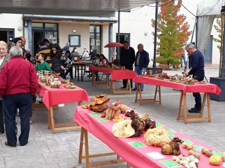 Arcos celebra a VII Feira de Outono esta fin de semana