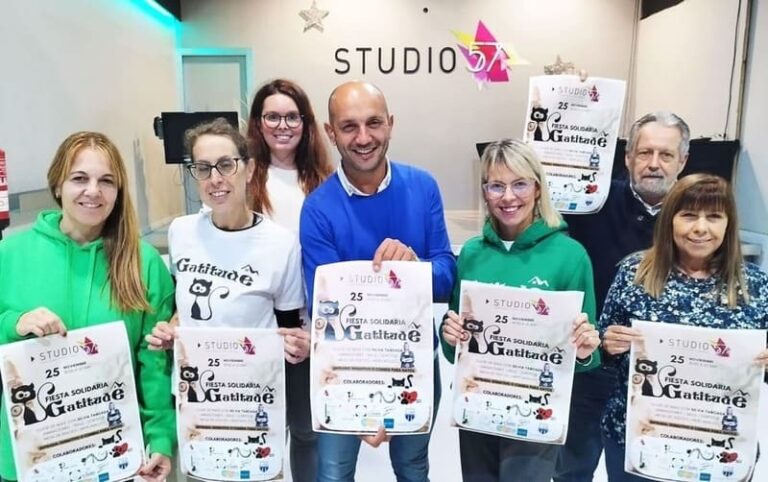 Festa solidaria polos gatos que viven nas rúas do Porriño