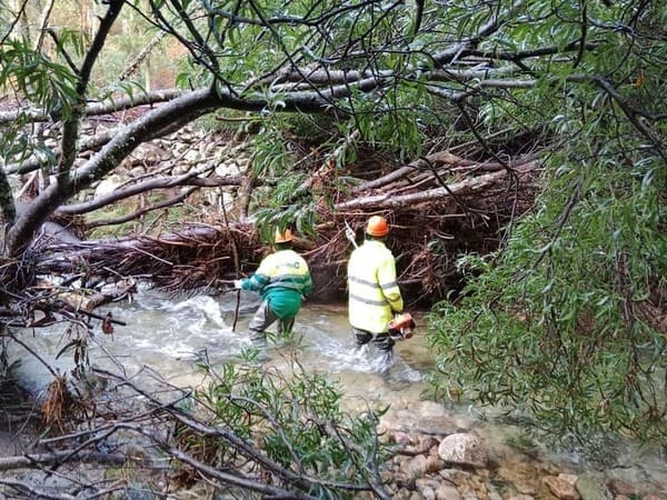 A Xunta realiza tarefas de limpeza e conservación no río Mougás