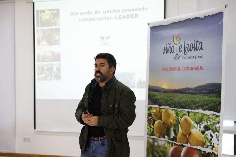 O sector vitivinícola do Condado Paradanta podería contar con once novos polígonos agroforestais