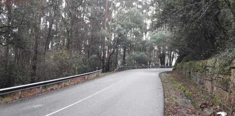 O perigo de derrube unha árbore sobre o tendido eléctrico obriga ao Concello de Redondela ao peche puntual dun carril da N-555