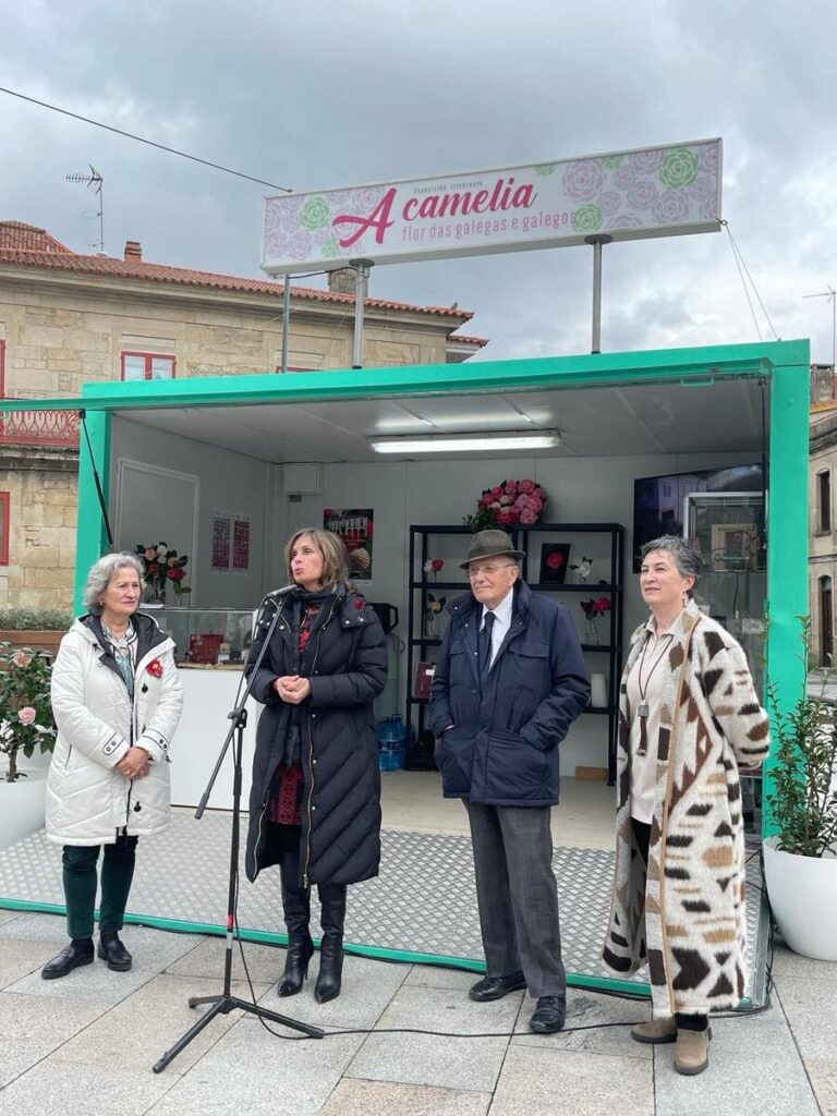 A Deputación impulsa a mostra itinerante “A camelia, flor das galegas e dos galegos”