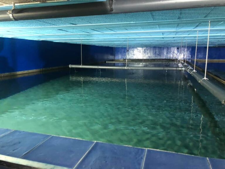 Tomiño leva investido 908.000 euros na mellora das instalacións das traídas de auga veciñais