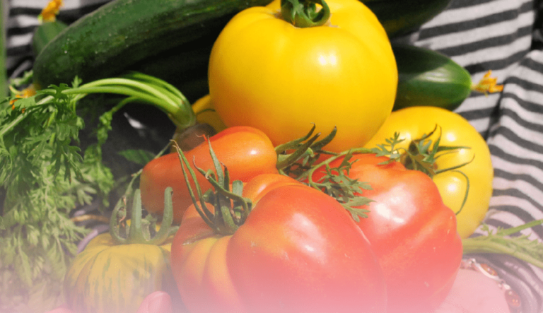 A OMIX de Tomiño leva á mocidade ás raíces cun curso de horticultura ecolóxica