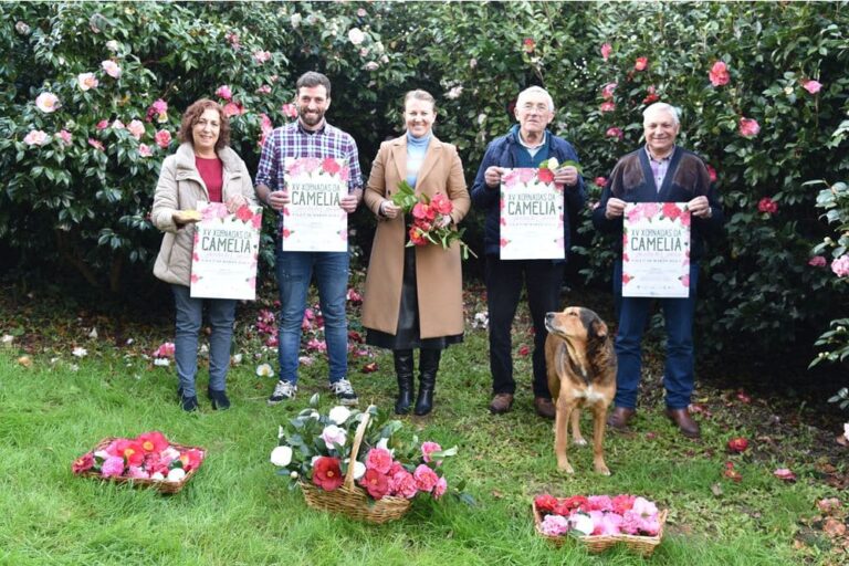 Máis de 500 variedades de camelia esta fin de semana en Salceda