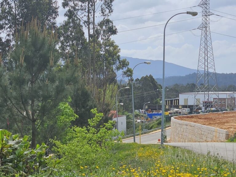 A alcadesa de Salvaterra de Miño valora “moi positivamente” a sentenza do TSXG sobre o polígono industrial ‘Chan da Ponte’