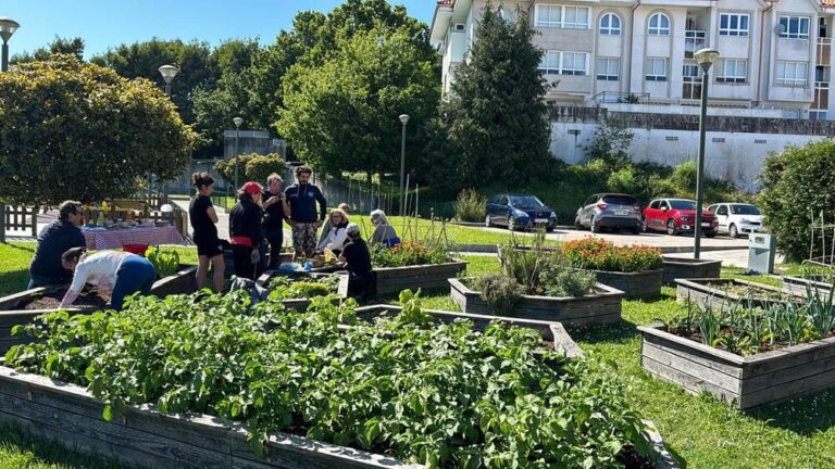 A horta urbana do Concello de Nigrán na Ramallosa cumpre dous anos de funcionamento activo