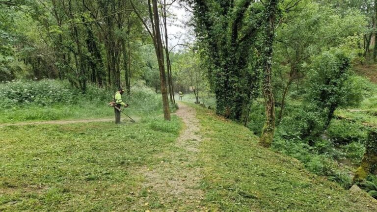 Douscentos quilómetros de sendas e viais limpados ao abeiro do I Plan Anual de rozados de Salceda